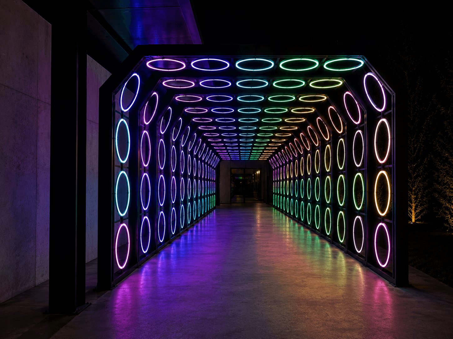 Ingreso de Aros imagen 1