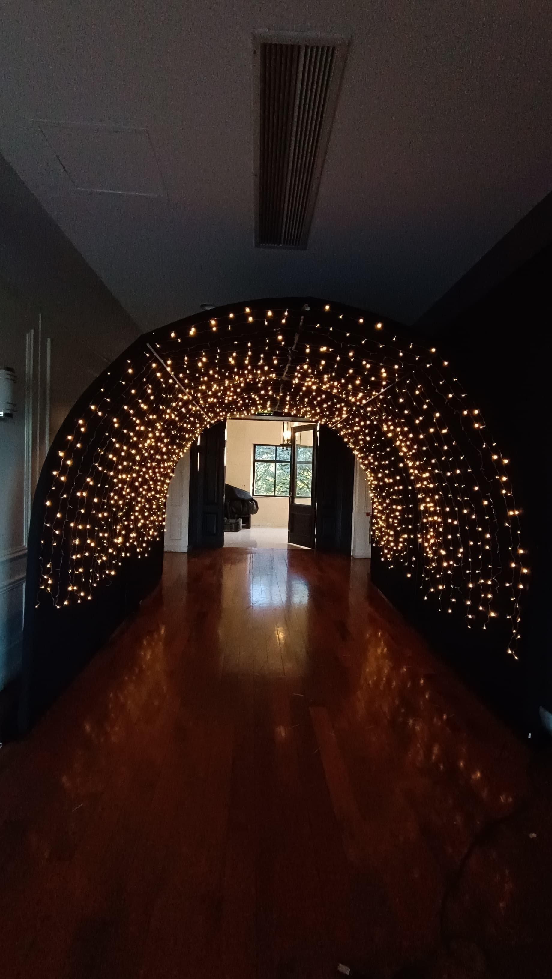 Ingreso Pergola Luces Navidad imagen 1